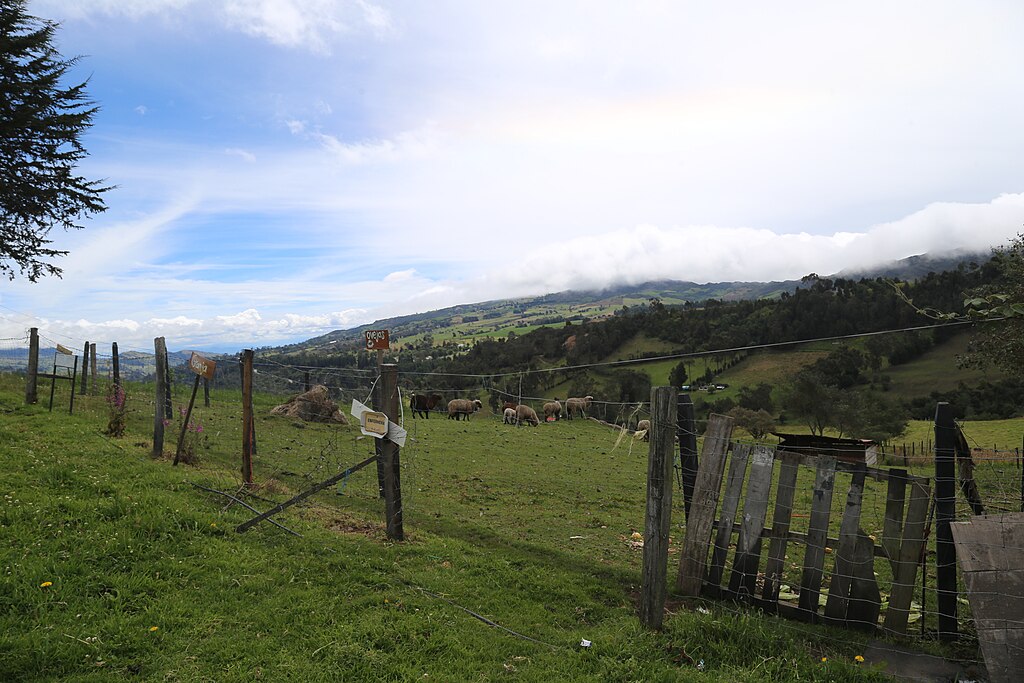 Usme_rural,_Vereda_Arrayanes_-_Bogotá_D.C