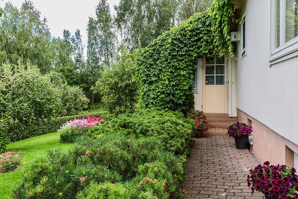 Garden_in_Helsinki,_Finland