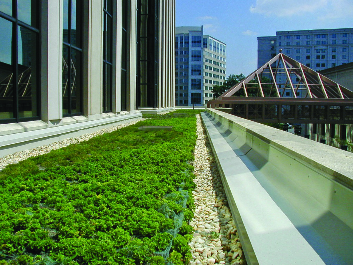Green_roof