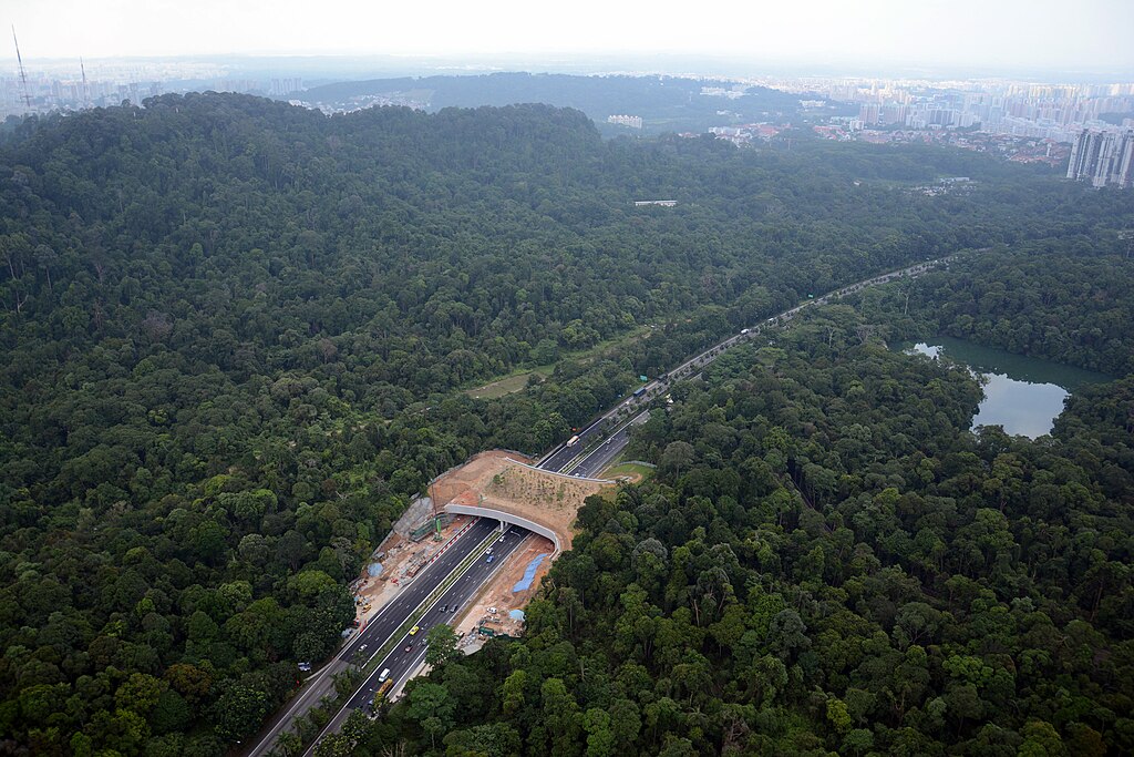 Wildlife_overpass_in_Singapore