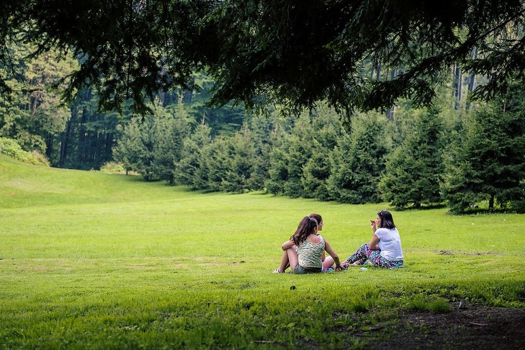 picnic-nature-girls-n