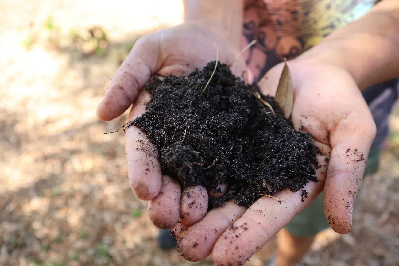 soil