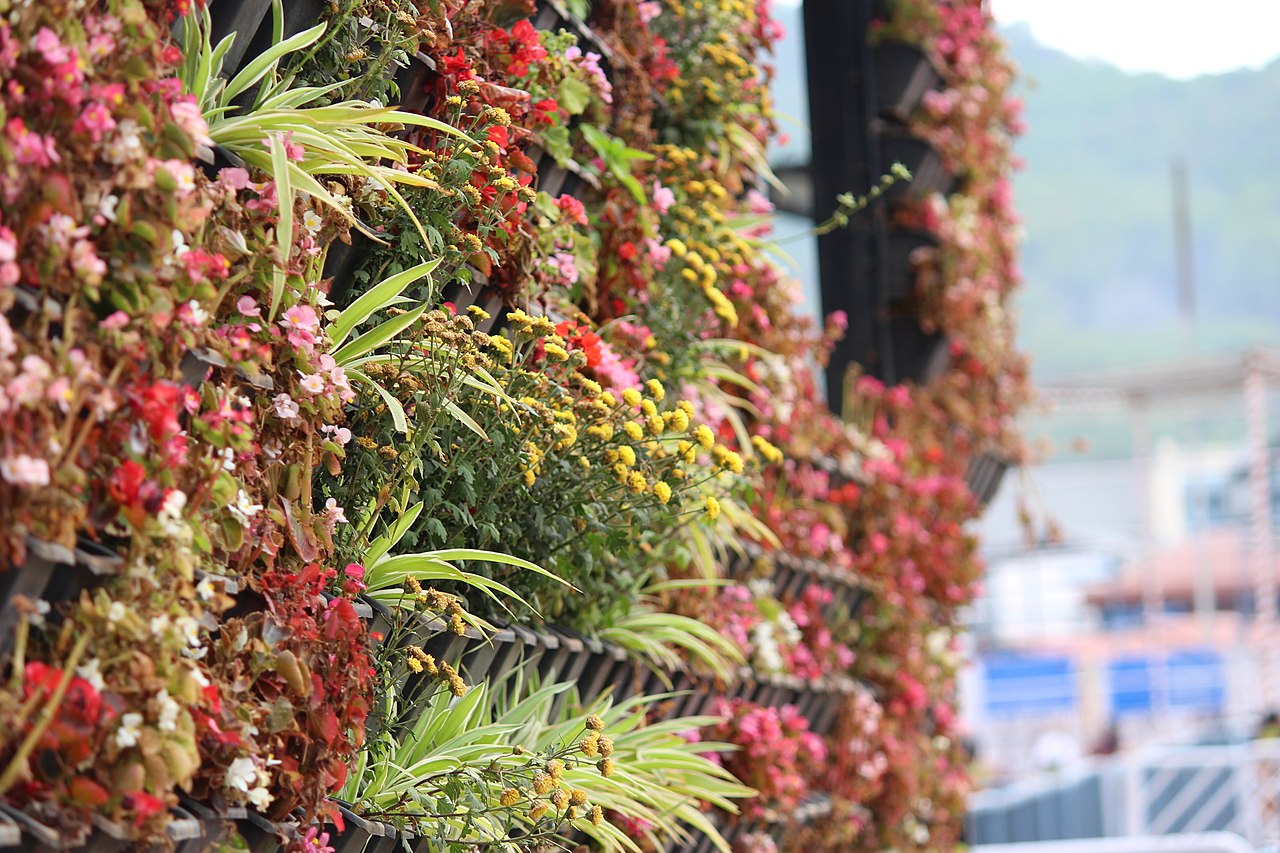 11Vertical_garden